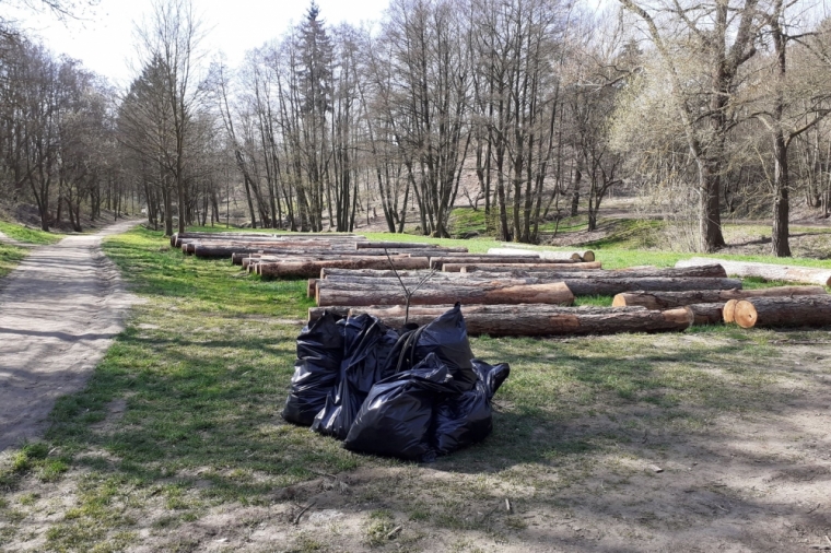 Lidé oslavili Den země úklidem města