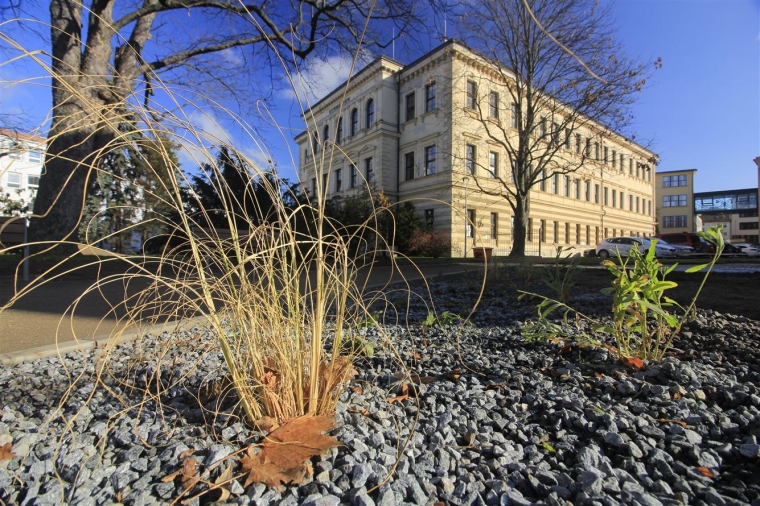 Před Gymnáziem přibylo více zeleně