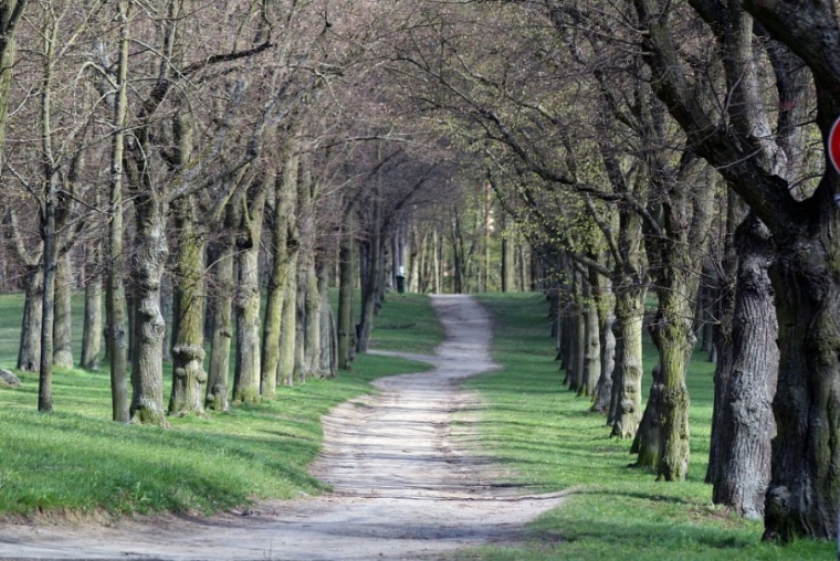 Park na Hrádku se začne brzy měnit. Budou tam i toalety